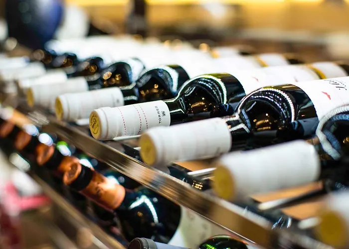 Spring Vulcano Hotel Playa de las Americas (Tenerife)