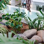 Spring Vulcano Hotel 4*