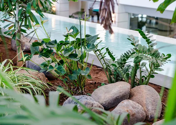 Spring Vulcano Otel 4*